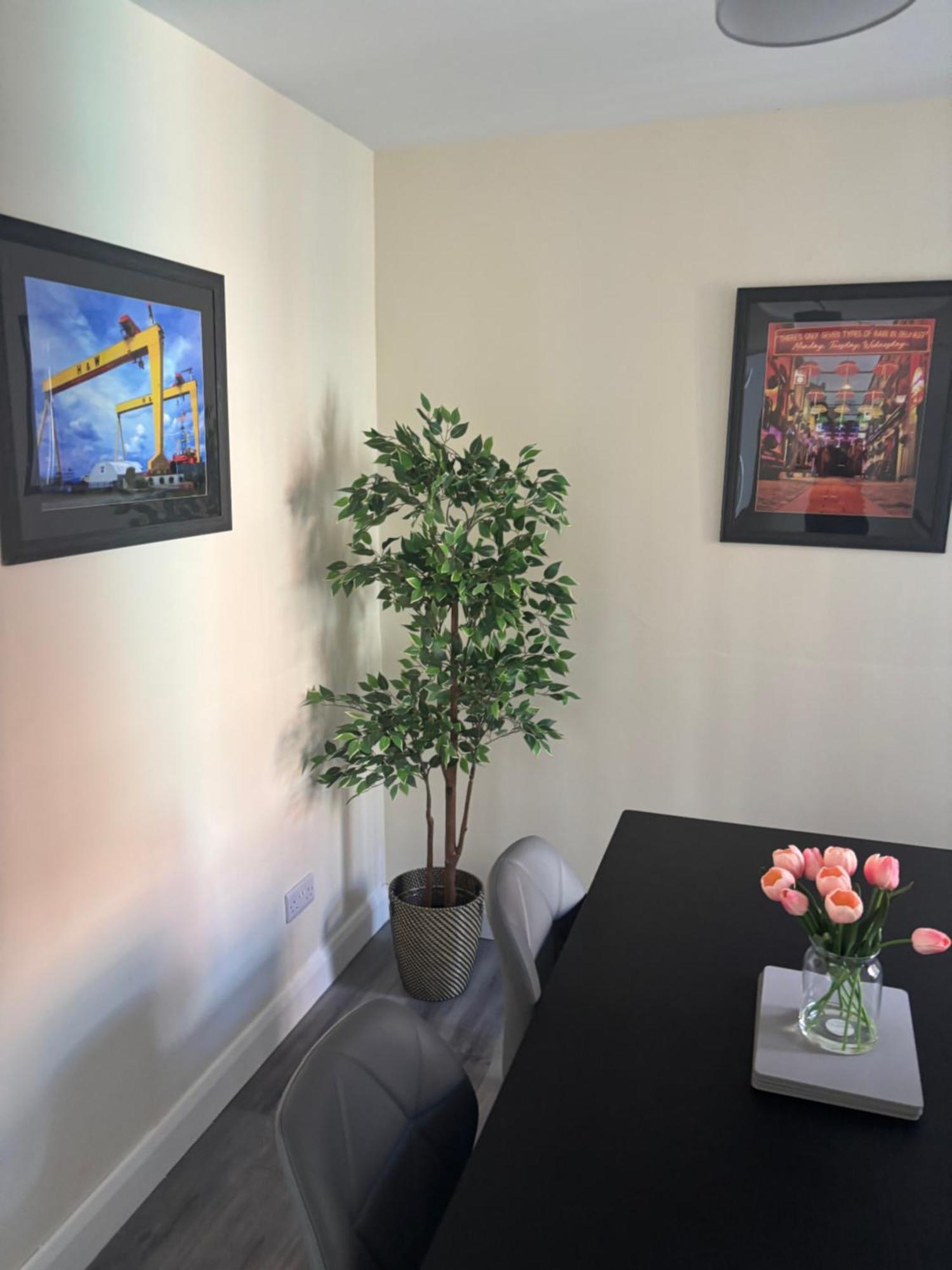Caras Place Holiday home Belfast